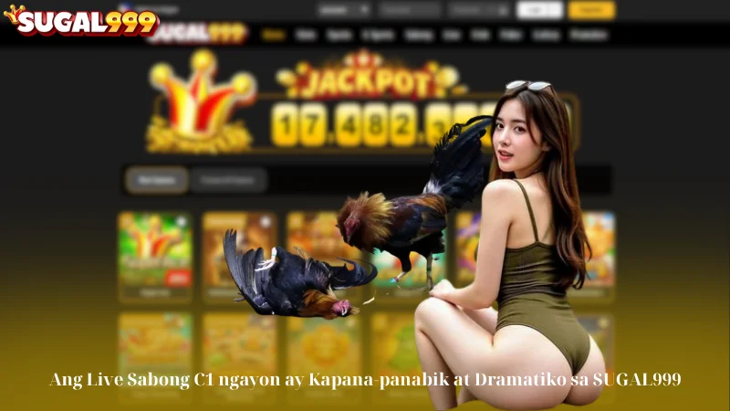 Ang Live Sabong C1 ngayon ay Kapana-panabik at Dramatiko sa SUGAL999