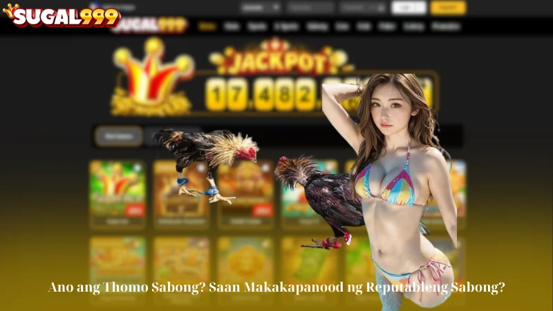 Ano ang Thomo Sabong? Saan Makakapanood ng Reputableng Sabong?