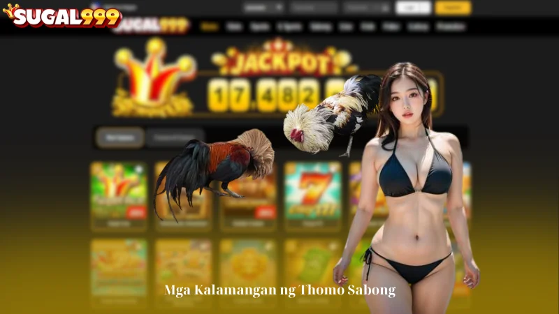 Mga Kalamangan ng Thomo Sabong