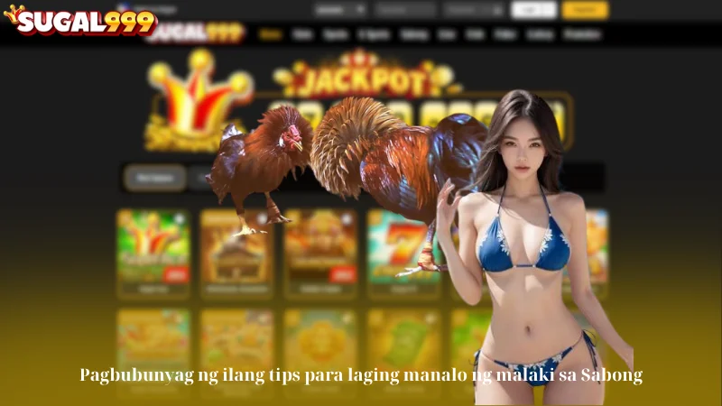 Pagbubunyag ng ilang tips para laging manalo ng malaki sa Sabong