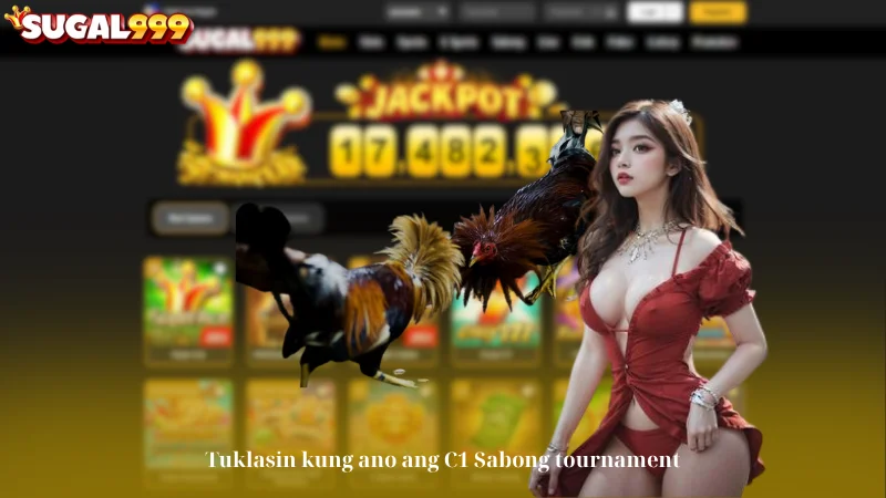 Tuklasin kung ano ang C1 Sabong tournament